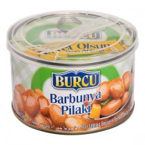 BUR010-210x210.jpg