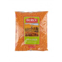 BUR055-210x210.jpg