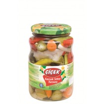 CIC020-210x210.jpg